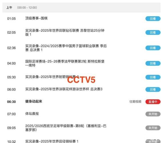 CCTV5在线直播世界杯赛事全程追踪